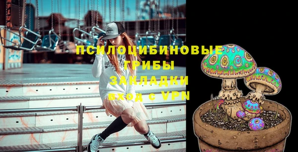 a pvp Вяземский