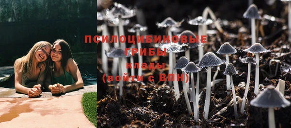 a pvp Вяземский