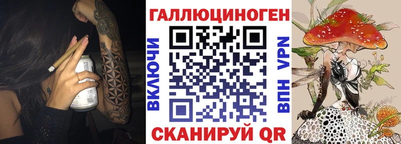 Купить  Сланцы  Псилоцибиновые грибы MAGIC MUSHROOMS 