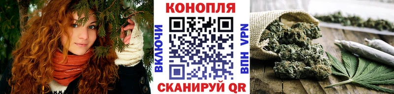 Бошки марихуана планчик  Купить  Сланцы 